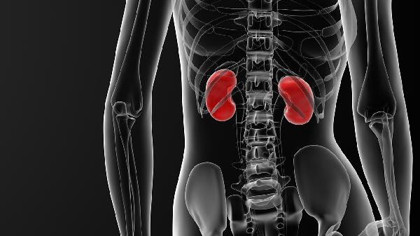 腎增大還能恢復嗎