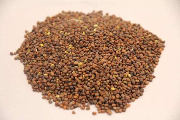 中藥沒(méi)藥的功效與作用