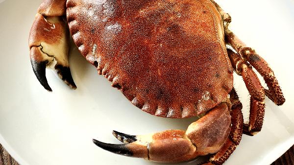 我吃了6个死螃蟹会死吗