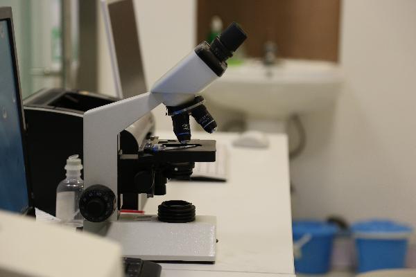 體檢都檢查哪些項(xiàng)目