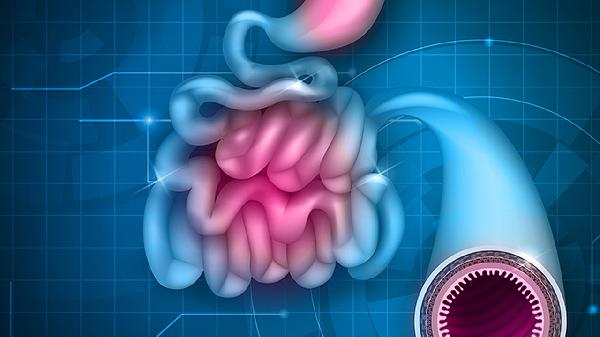 做無痛腸鏡費(fèi)用多少