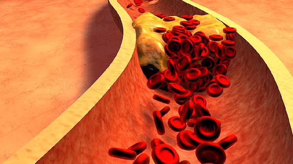 肝功和dna病毒檢測要多少錢