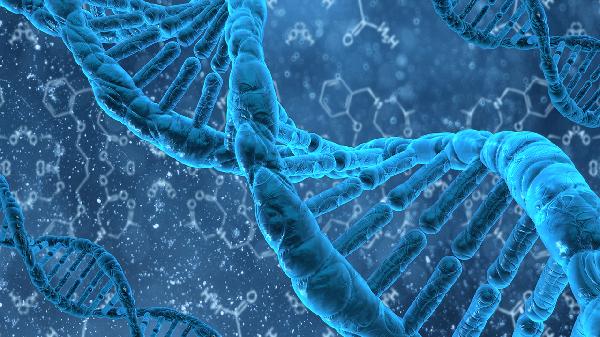 xyy染色體形成的原因