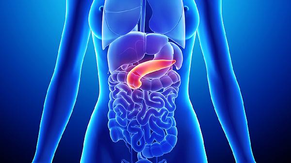 吃什么能降膽固醇