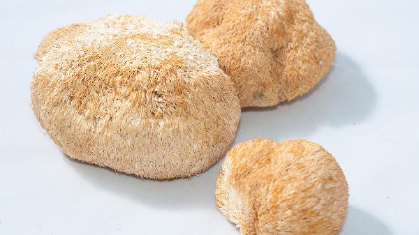 猴頭菇的吃法與做法