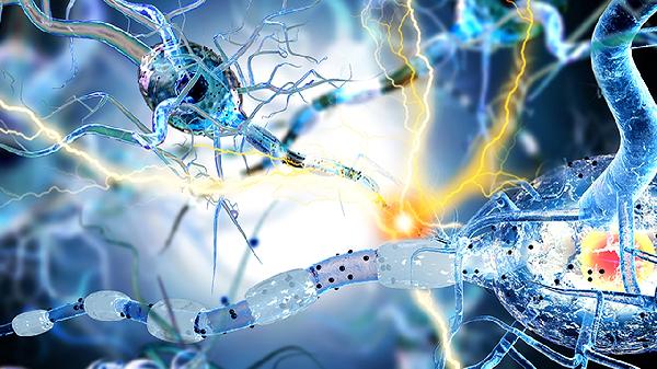 妊娠滋養(yǎng)細(xì)胞疾病