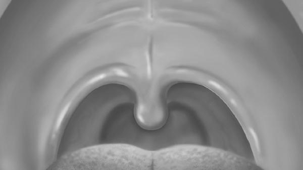 金嗓子喉片功效與作用