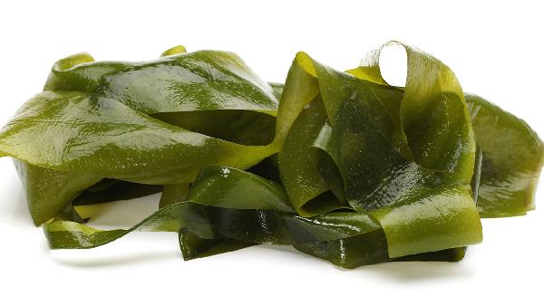 海藻功效与作用