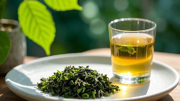 桑葉茶有什么好處