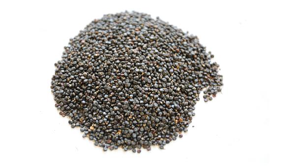 中药当归的作用和功效