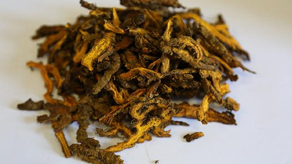 牛黃解毒片與黃連上清片的功效與作用