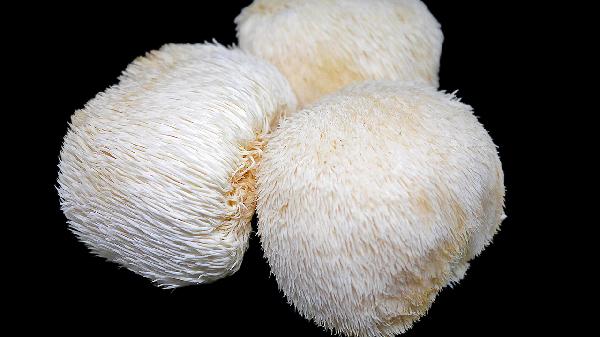 猴頭菇怎么吃較好