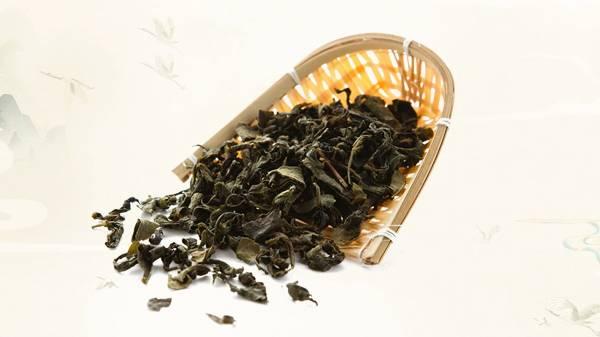 烏龍茶是什么茶葉