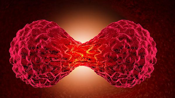 女性hpv病毒是什么原因引起的有什么癥狀