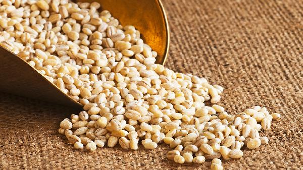 黑大麥的功效與作用有降血糖作用嗎