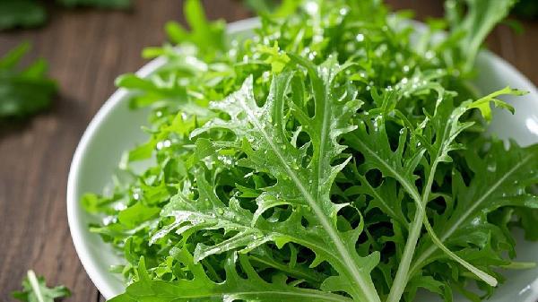 苦菊的功效與作用吃法