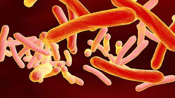 抽脂細(xì)胞再次充盈還會(huì)胖嗎