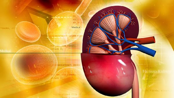 复方氨酚肾素片的作用与功效有哪些