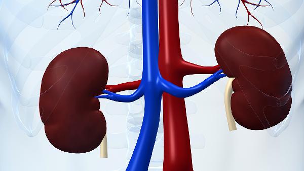 腎上腺激素飆升怎么辦