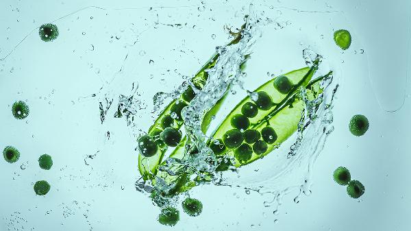 支氣管擴張的飲食指導