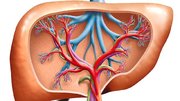 脖子血管堵了怎么辦