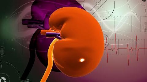 iga肾病能否治愈