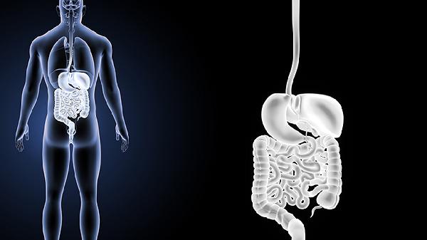 大肠经络不通的症状