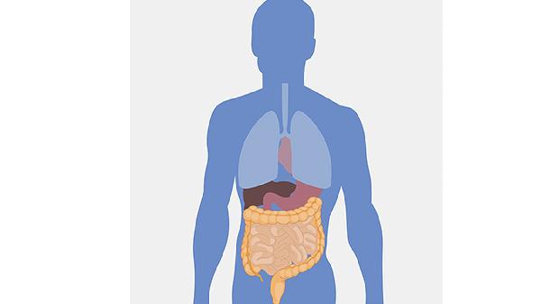 腸道健康預(yù)警：4個(gè)如廁異常暗示息肉，早發(fā)現(xiàn)能救命