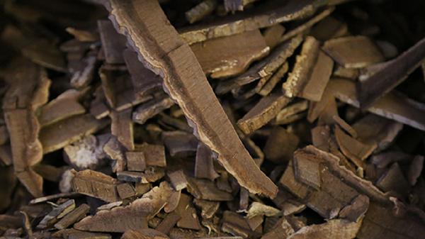 每天2次吃中藥最佳時間是幾點(diǎn)