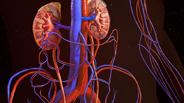 肝母細胞瘤怎么預(yù)防