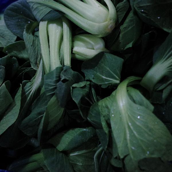 為什么每次青菜炒出來是澀的