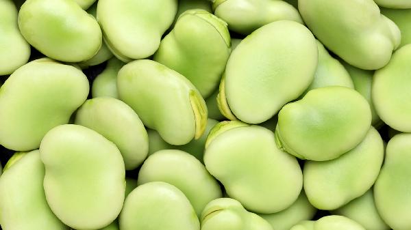 哪些食物為高脂肪食物不能吃