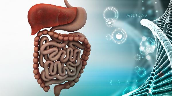 直腸晚期特效中藥