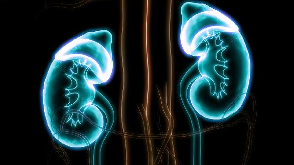 慢性腎炎用什么中藥